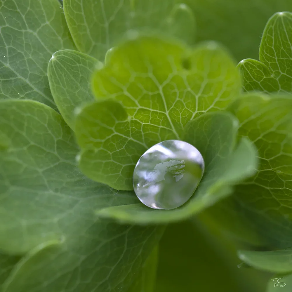 <strong>Après la Pluie #1215 - </strong> <small>© Rémy SALAÜN</small>