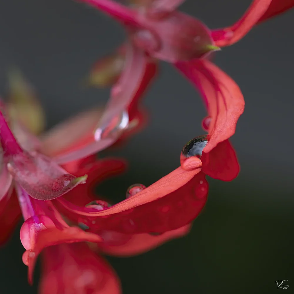 <strong>Après la Pluie #1294 - </strong> <small>© Rémy SALAÜN</small>