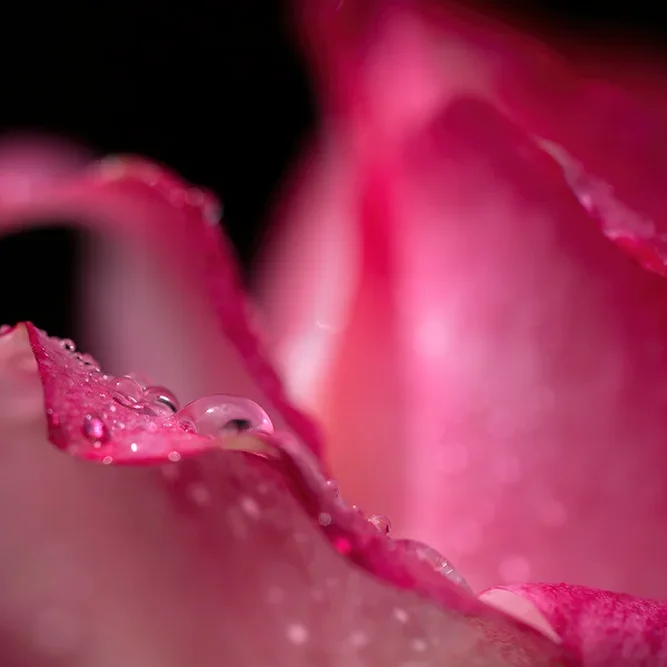 <strong>Après la Pluie #1235 - </strong> <small>© Rémy SALAÜN</small>