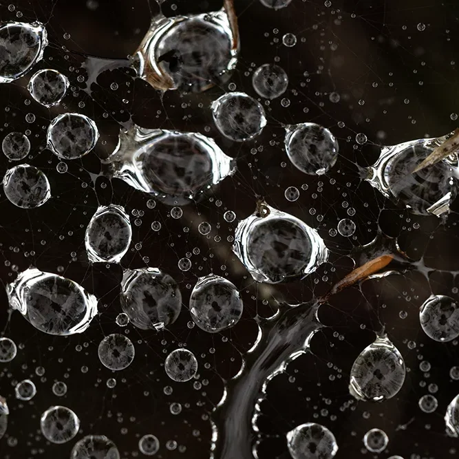 <strong>Après la Pluie #2426 - </strong> <small>© Rémy SALAÜN</small>