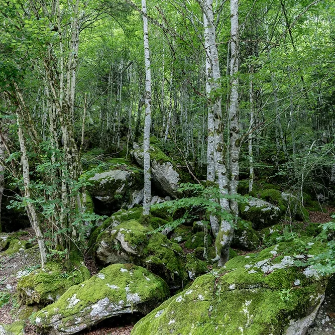 <strong>Paysages #2605 - Lescun | 64</strong> <small>© Rémy SALAÜN</small>