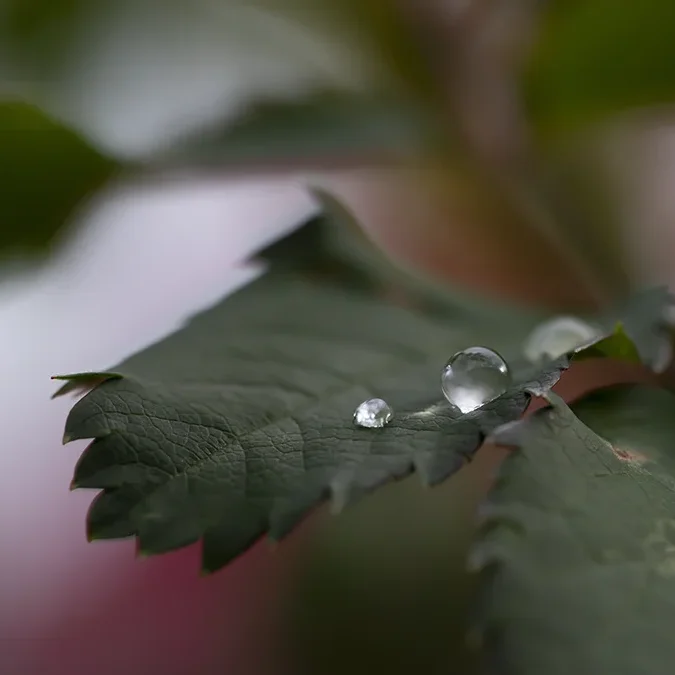 <strong>Après la Pluie #2209 - </strong> <small>© Rémy SALAÜN</small>