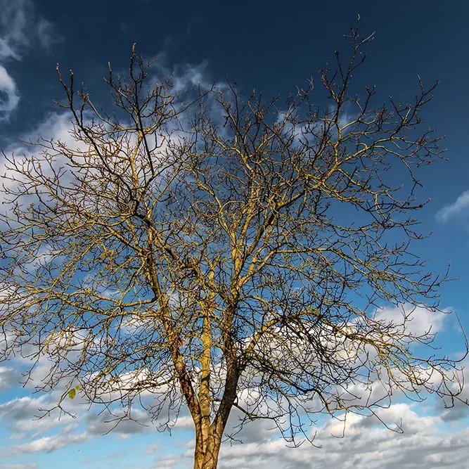 <strong>Paysages #1133 - Château-Thierry | 02</strong> <small>© Rémy SALAÜN</small>