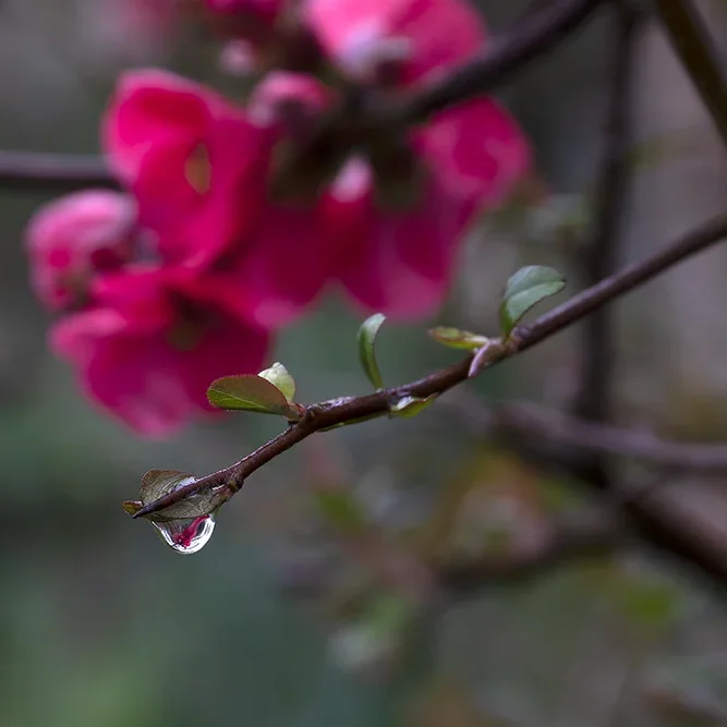 <strong>Après la Pluie #1191 - </strong> <small>© Rémy SALAÜN</small>