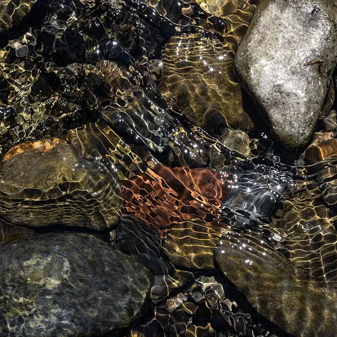 <strong>Fluides #2464 - </strong> <small>© Rémy SALAÜN</small>