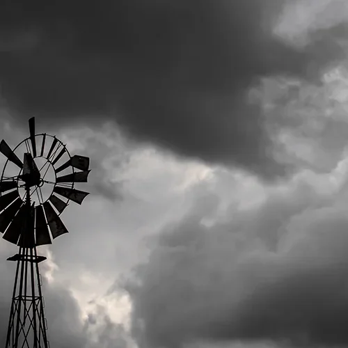 <strong>Paysages #1906 - Belleau | 02</strong> <small>© Rémy SALAÜN</small>