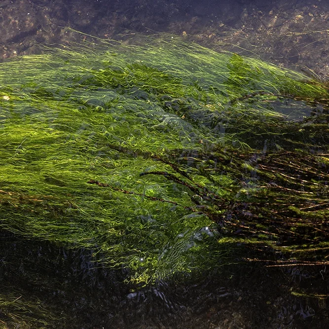 <strong>Fluides #2494 - </strong> <small>© Rémy SALAÜN</small>