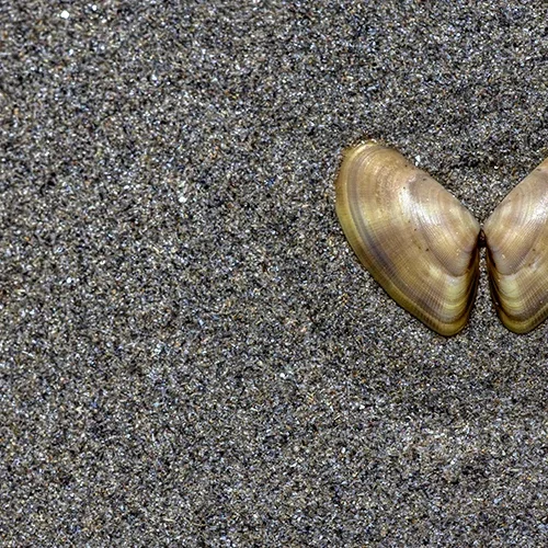 <strong>Vue Sur Mer #1501 - Tréguennec | 29</strong> <small>© Rémy SALAÜN</small>