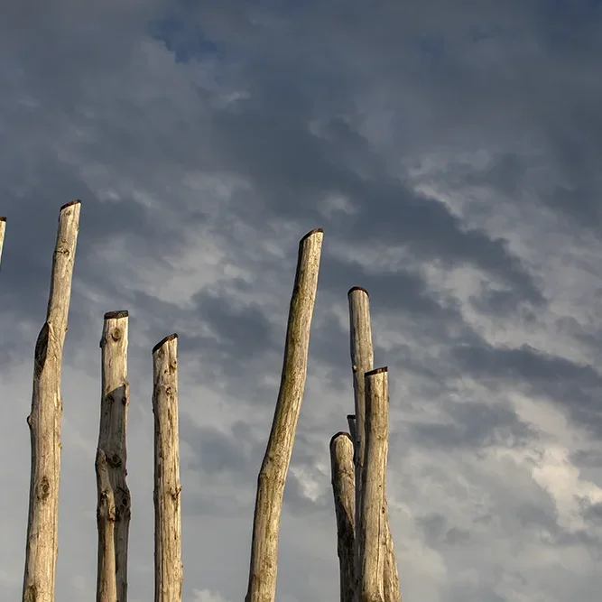 <strong>Sur les Quais #1632 - Brest | 29</strong> <small>© Rémy SALAÜN</small>