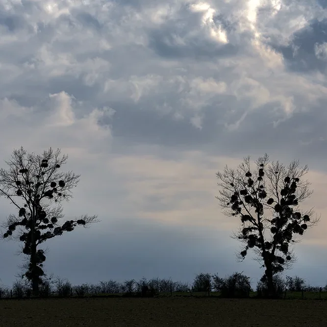<strong>Paysages #1187 - Villers-sur-Fère | 02</strong> <small>© Rémy SALAÜN</small>