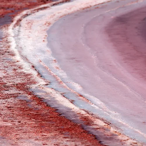 <strong>Paysages #1155 - Aigues-Mortes | 30</strong> <small>© Rémy SALAÜN</small>