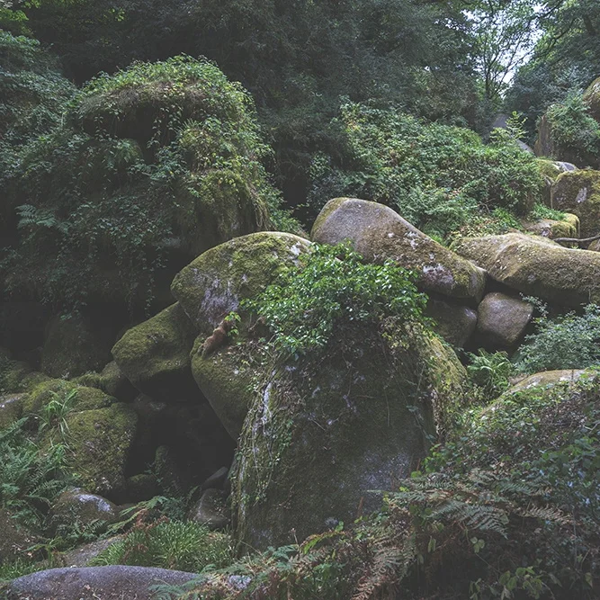 <strong>Paysages #2609 - Huelgoat | 29</strong> <small>© Rémy SALAÜN</small>