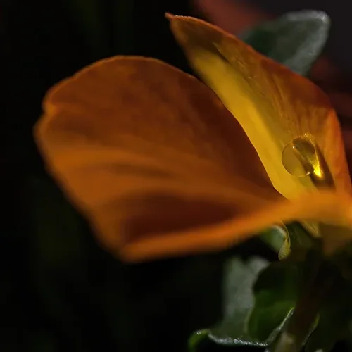 <strong>Après la Pluie #1488 - </strong> <small>© Rémy SALAÜN</small>