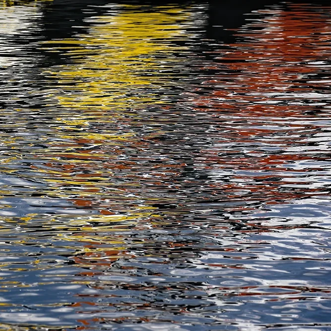 <strong>Reflets #405 - Brest | 29</strong> <small>© Rémy SALAÜN</small>