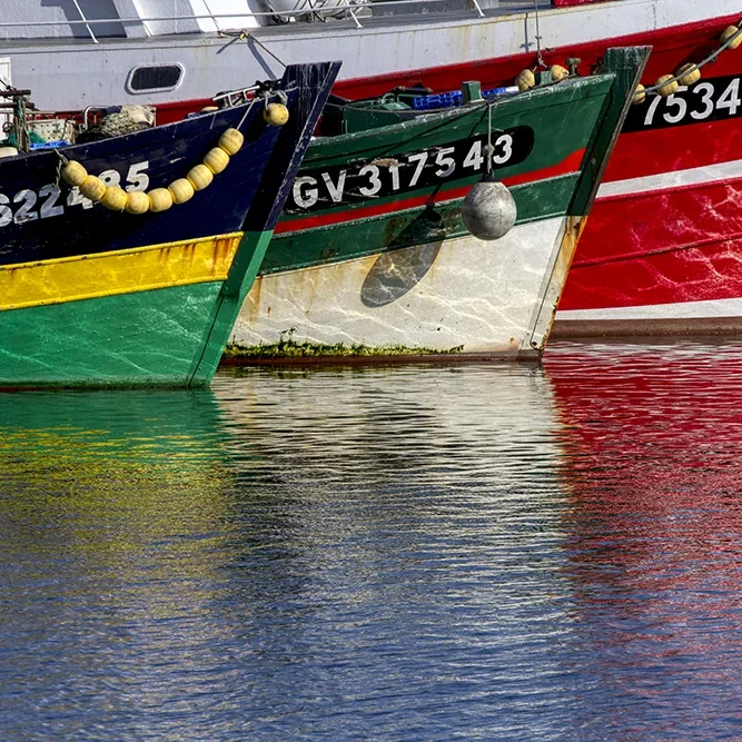 <strong>Reflets #332 - Le Guilvinec | 29</strong> <small>© Rémy SALAÜN</small>