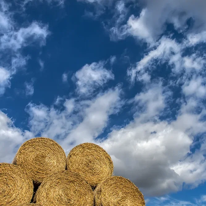 <strong>Paysages #1129 - Belleau | 02</strong> <small>© Rémy SALAÜN</small>