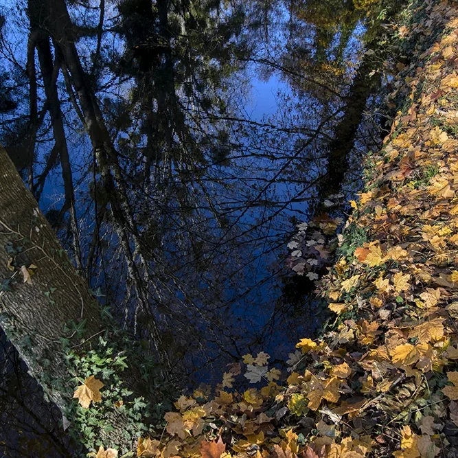 <strong>Paysages #1171 - Dormans | 51</strong> <small>© Rémy SALAÜN</small>