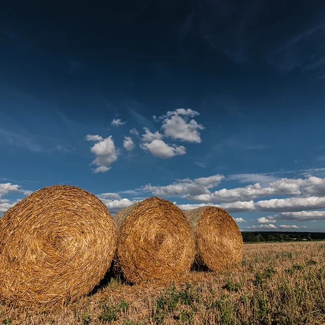 <strong>Paysages #1170 - Belleau | 02</strong> <small>© Rémy SALAÜN</small>