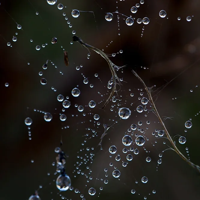 <strong>Après la Pluie #2180 - </strong> <small>© Rémy SALAÜN</small>