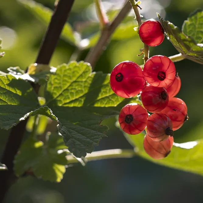 <strong>Paysages #1185 - Château-Thierry | 02</strong> <small>© Rémy SALAÜN</small>