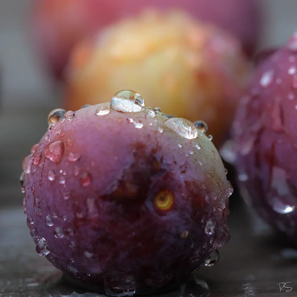 <strong>Après la Pluie #1254 - </strong> <small>© Rémy SALAÜN</small>