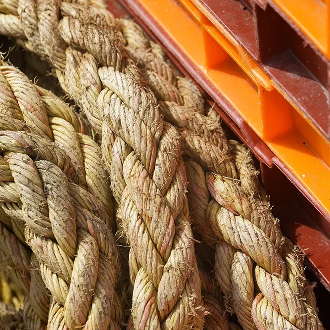 <strong>Couleurs des Ports #3034 - Cayeux-sur-Mer | 80</strong> <small>© Rémy SALAÜN</small>