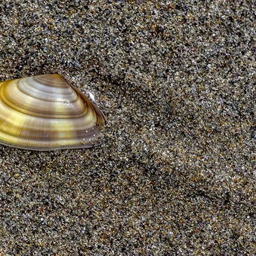 <strong>Vue Sur Mer #1500 - Tréguennec | 29</strong> <small>© Rémy SALAÜN</small>
