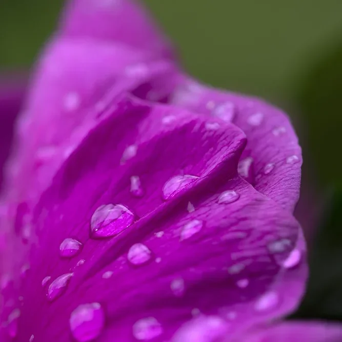 <strong>Après la Pluie #1224 - </strong> <small>© Rémy SALAÜN</small>