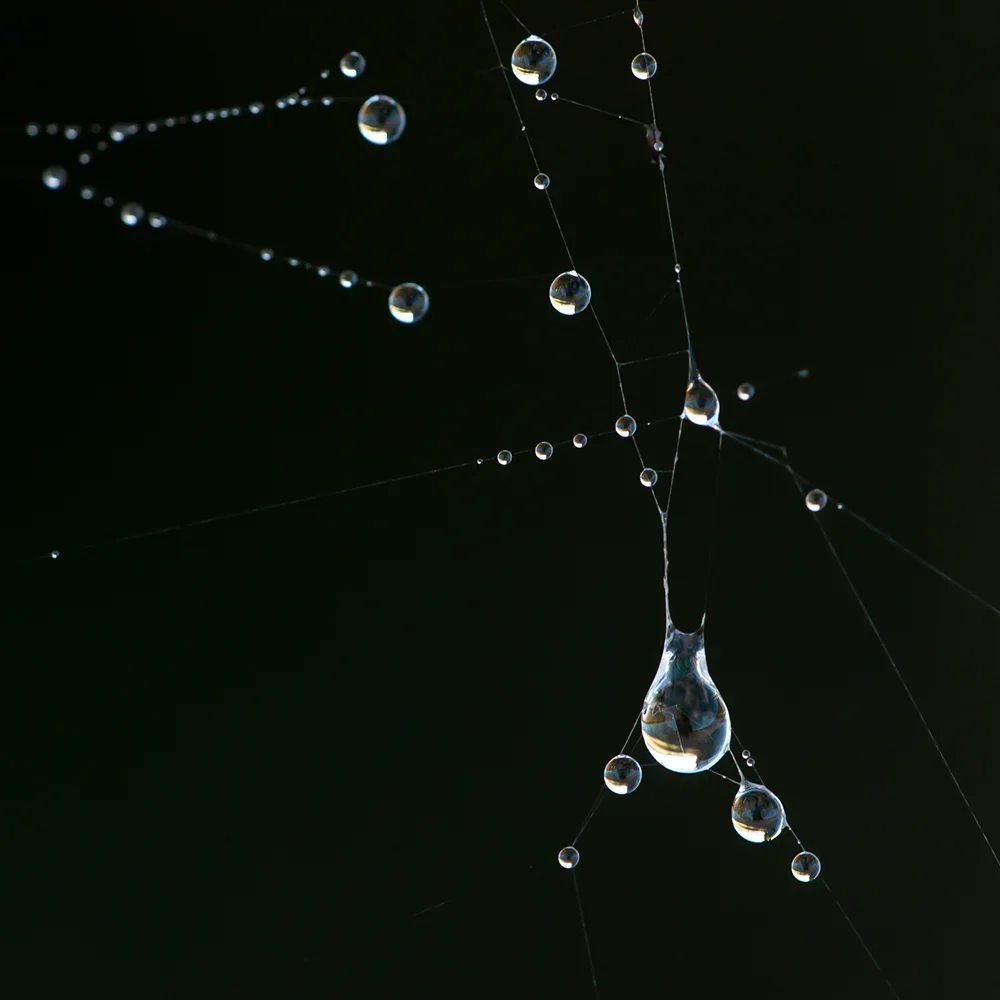 <strong>Après la Pluie #2181 - </strong> <small>© Rémy SALAÜN</small>