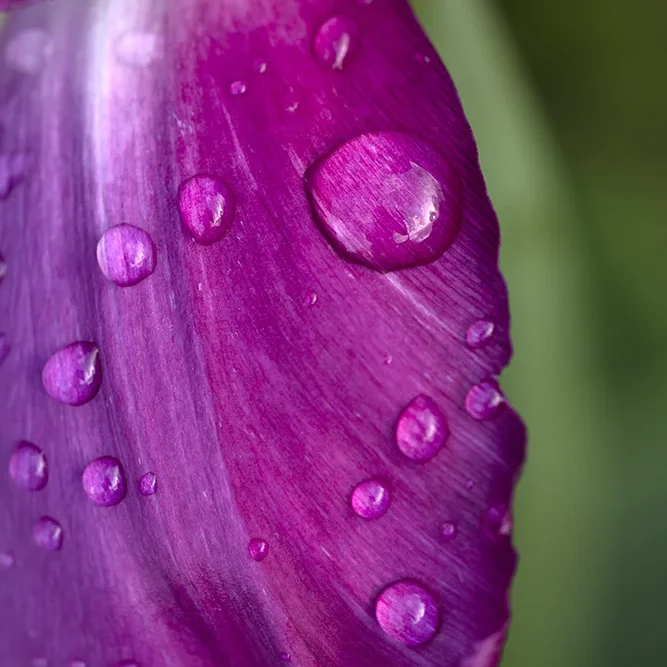 <strong>Après la Pluie #1220 - </strong> <small>© Rémy SALAÜN</small>