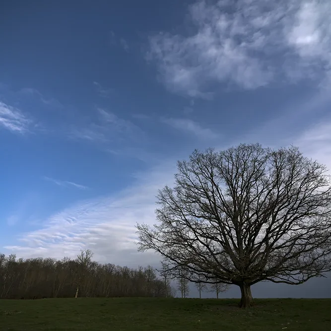 <strong>Paysages #1188 - Etrepilly | 02</strong> <small>© Rémy SALAÜN</small>