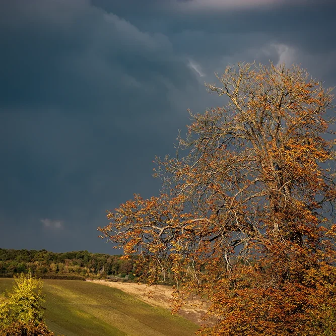 <strong>Paysages #2145 - Fossoy | 02</strong> <small>© Rémy SALAÜN</small>