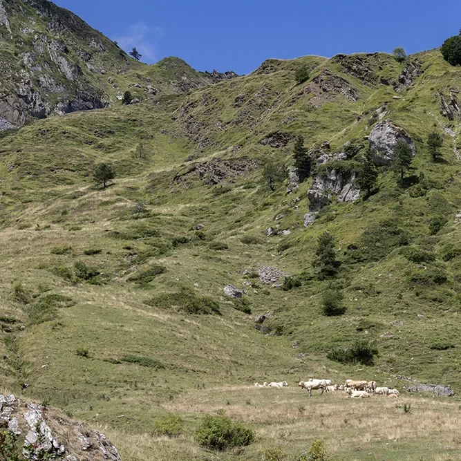 <strong>Paysages #2601 - Lescun | 64</strong> <small>© Rémy SALAÜN</small>