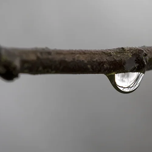 <strong>Après la Pluie #1192 - </strong> <small>© Rémy SALAÜN</small>