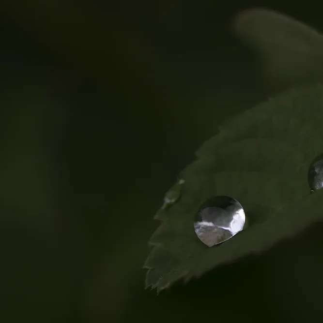 <strong>Après la Pluie #2212 - </strong> <small>© Rémy SALAÜN</small>