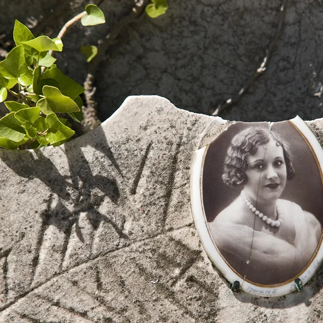 <strong>Chers Disparus #271 - </strong> <small>© Rémy SALAÜN</small>