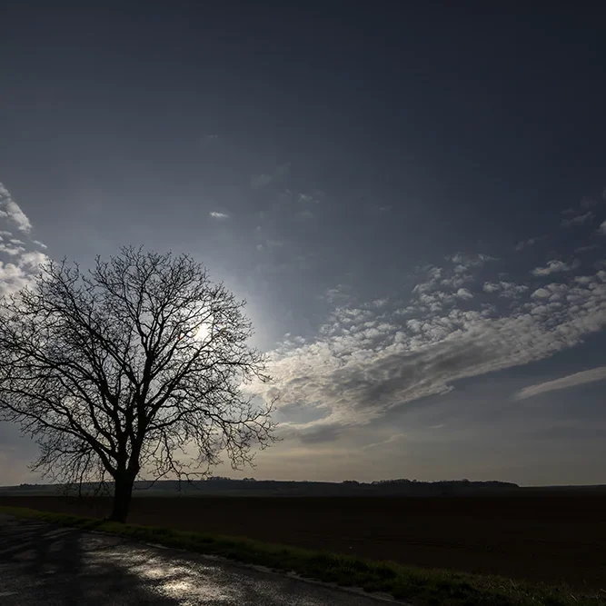 <strong>Paysages #1189 - Saint-Rémy-Blanzy | 02</strong> <small>© Rémy SALAÜN</small>