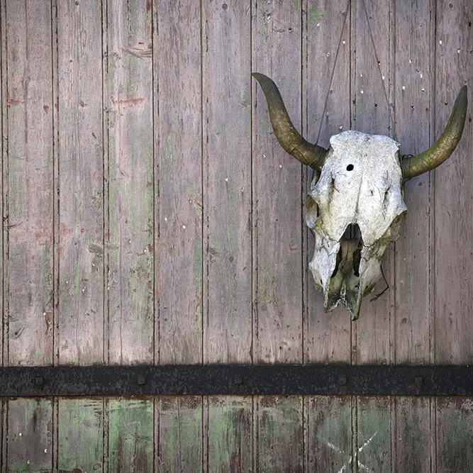 <strong>Pérégrinations #2139 - La Suze-sur-Sarthe | 72</strong> <small>© Rémy SALAÜN</small>