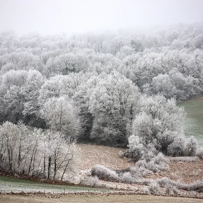 <strong>Paysages #1213 - Saint-Eugène | 02</strong> <small>© Rémy SALAÜN</small>