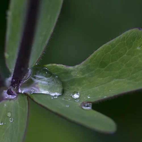 <strong>Après la Pluie #1223 - </strong> <small>© Rémy SALAÜN</small>