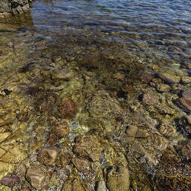 <strong>Vue Sur Mer #719 - Erquy | 22</strong> <small>© Rémy SALAÜN</small>