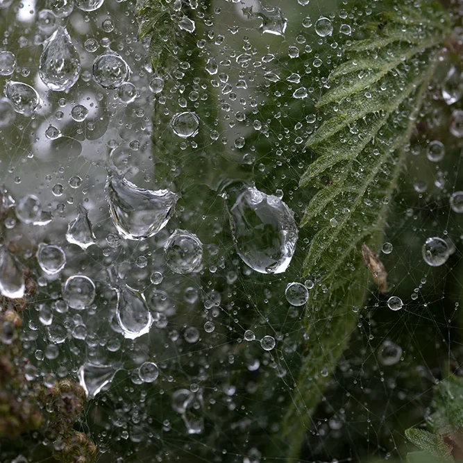 <strong>Après la Pluie #2425 - </strong> <small>© Rémy SALAÜN</small>