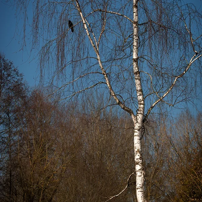 <strong>Paysages #2141 - Brasles | 02</strong> <small>© Rémy SALAÜN</small>