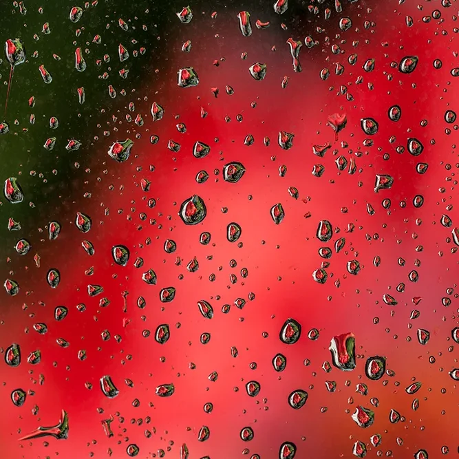 <strong>Après la Pluie #1227 - </strong> <small>© Rémy SALAÜN</small>