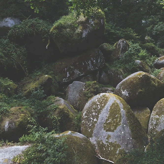 <strong>Paysages #2611 - Huelgoat | 29</strong> <small>© Rémy SALAÜN</small>