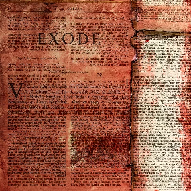 <strong>Lumières #1905 - Arles | 13</strong> <small>© Rémy SALAÜN</small>