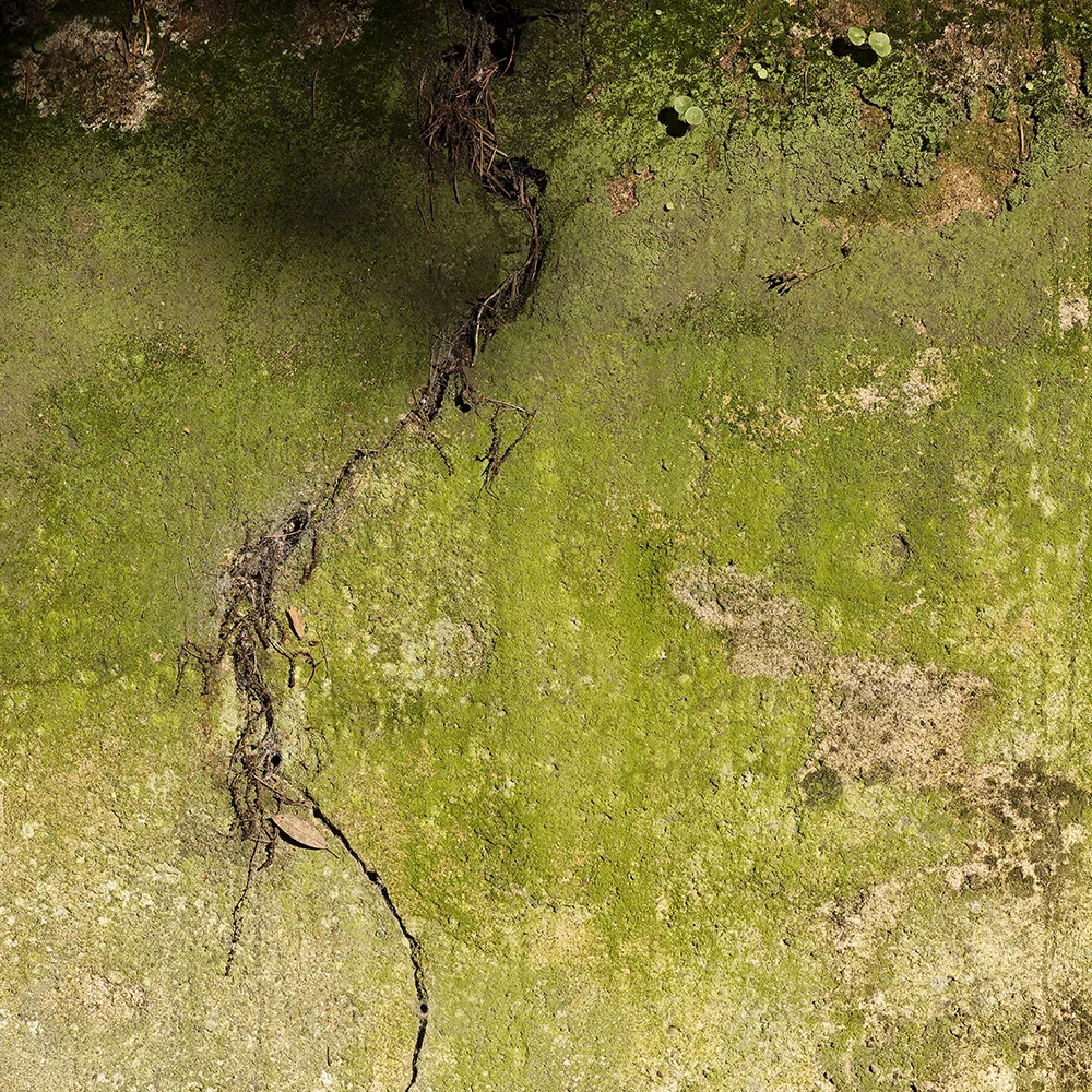 <strong>Textures #2310 - Josselin | 56</strong> <small>© Rémy SALAÜN</small>