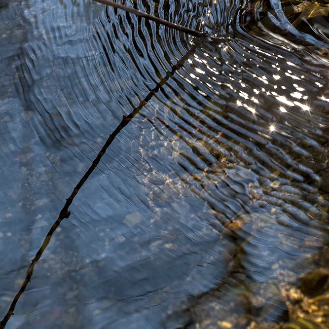 <strong>Fluides #1435 - </strong> <small>© Rémy SALAÜN</small>