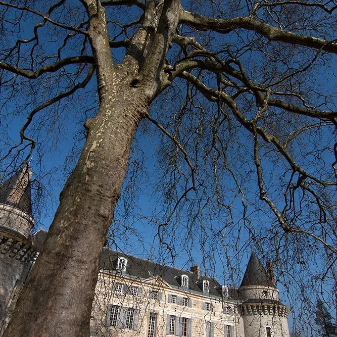 <strong>Monuments #1843 - Dormans | 51</strong> <small>© Rémy SALAÜN</small>