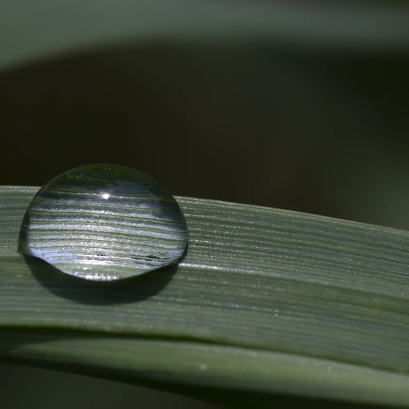 <strong>Après la Pluie #1207 - </strong> <small>© Rémy SALAÜN</small>